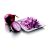 Tocător PHILIPS HR1393/00, 450W 0.7L plastic bowl, white, image _ab__is.image_number.default