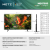 METZ TV 50" 50MQH7500Z UHD 4K QLED+ Google TV, Клас E,120Hz,126 см, image _ab__is.image_number.default