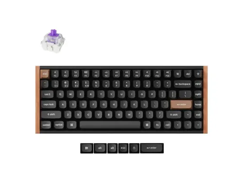 Mechanical Keyboard Keychron K2 HE Special Edition - Wireless, image 