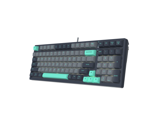 A4tech Fstyler FGS300 Panda Rock Mechanical TKL Cyrillic, image , 2 image