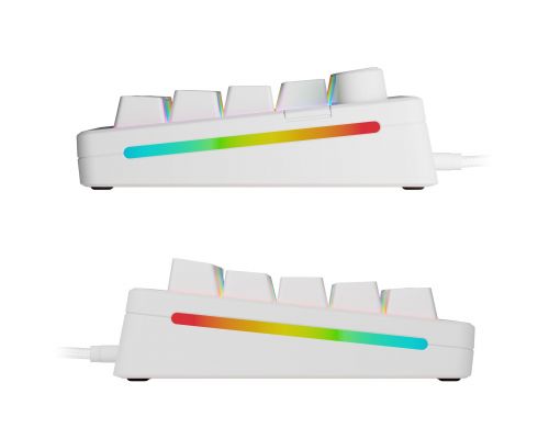 Gaming Mechanical keyboard Glorious GMMK 3 65% White - Fox Linear Switches, image , 3 image