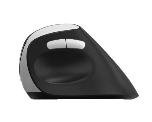 Wireless Ergonomic Mouse RAPOO EV250, image _ab__is.image_number.default