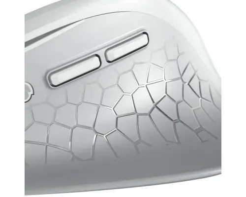 CHERRY Stream ergonomic silent mouse Comfort, 6 buttons, 4000dpi, white, image _ab__is.image_number.default